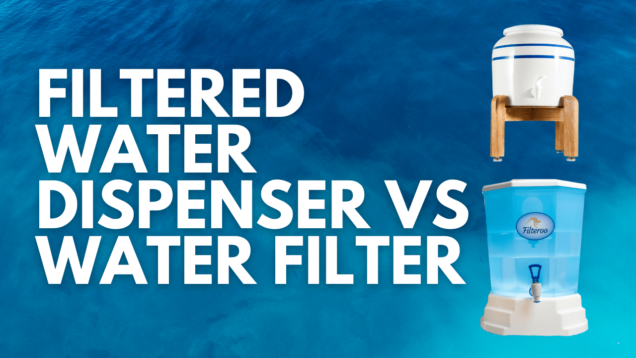 Filtered Water Dispenser VS Water Filter