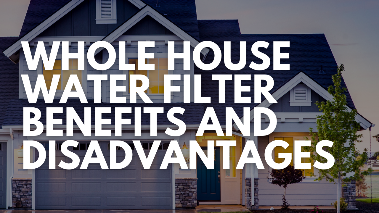 Whole House Water Filter Benefits and Disadvantages