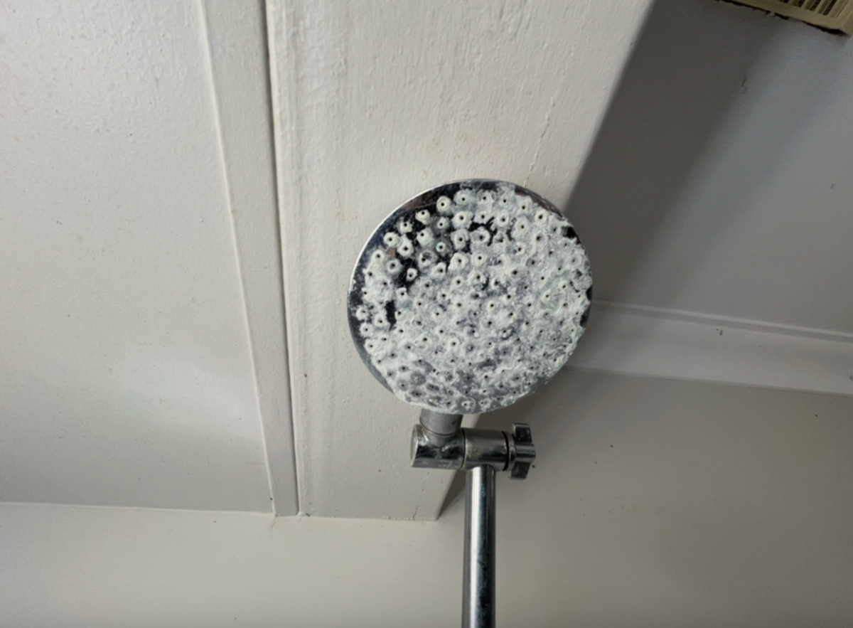 Scale building around showerhead outlets