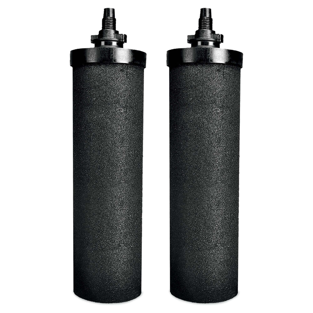 A pair of RAMA Carbon 8" Fast Filtration Water Purifier Cartridgews, designed with a black cylindrical shape and threaded ends, are positioned upright side by side on a white background.