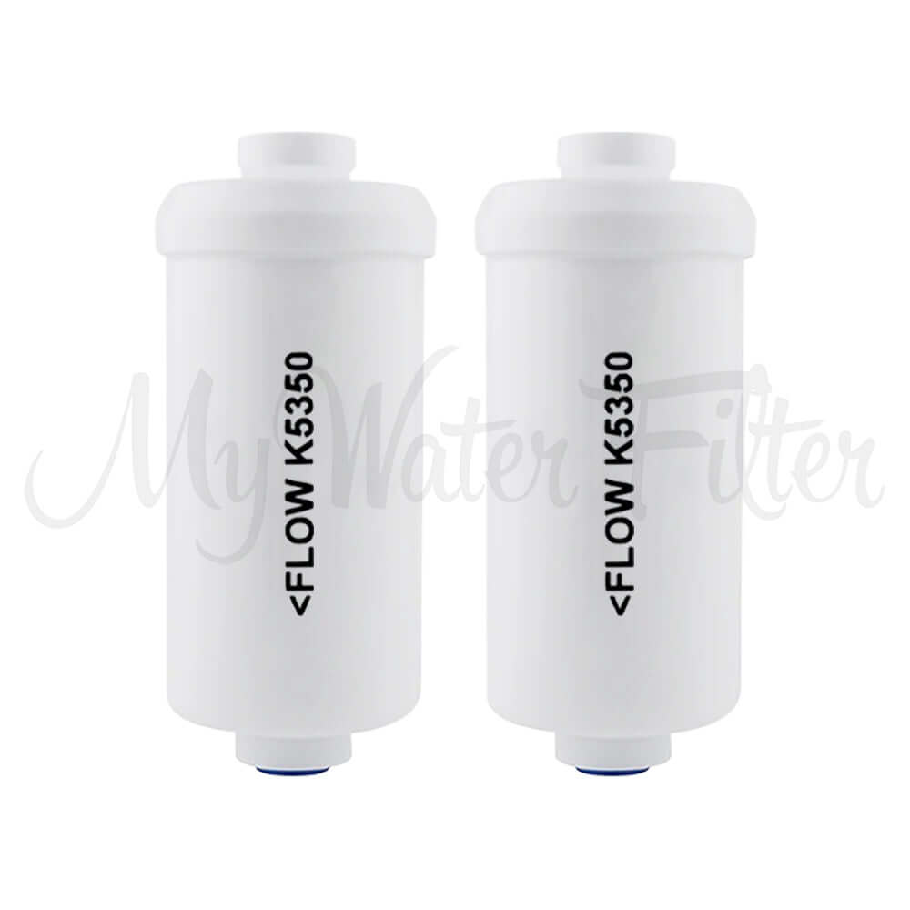Two white cylindrical water filters labeled "Berkey PF-4 Fluoride and Arsenic Reduction Elements.
