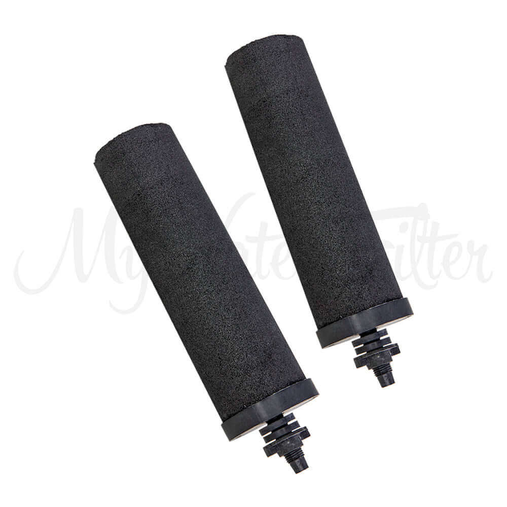 Two Phoenix carbon block filter cartridges with threaded ends, shown on a white background.