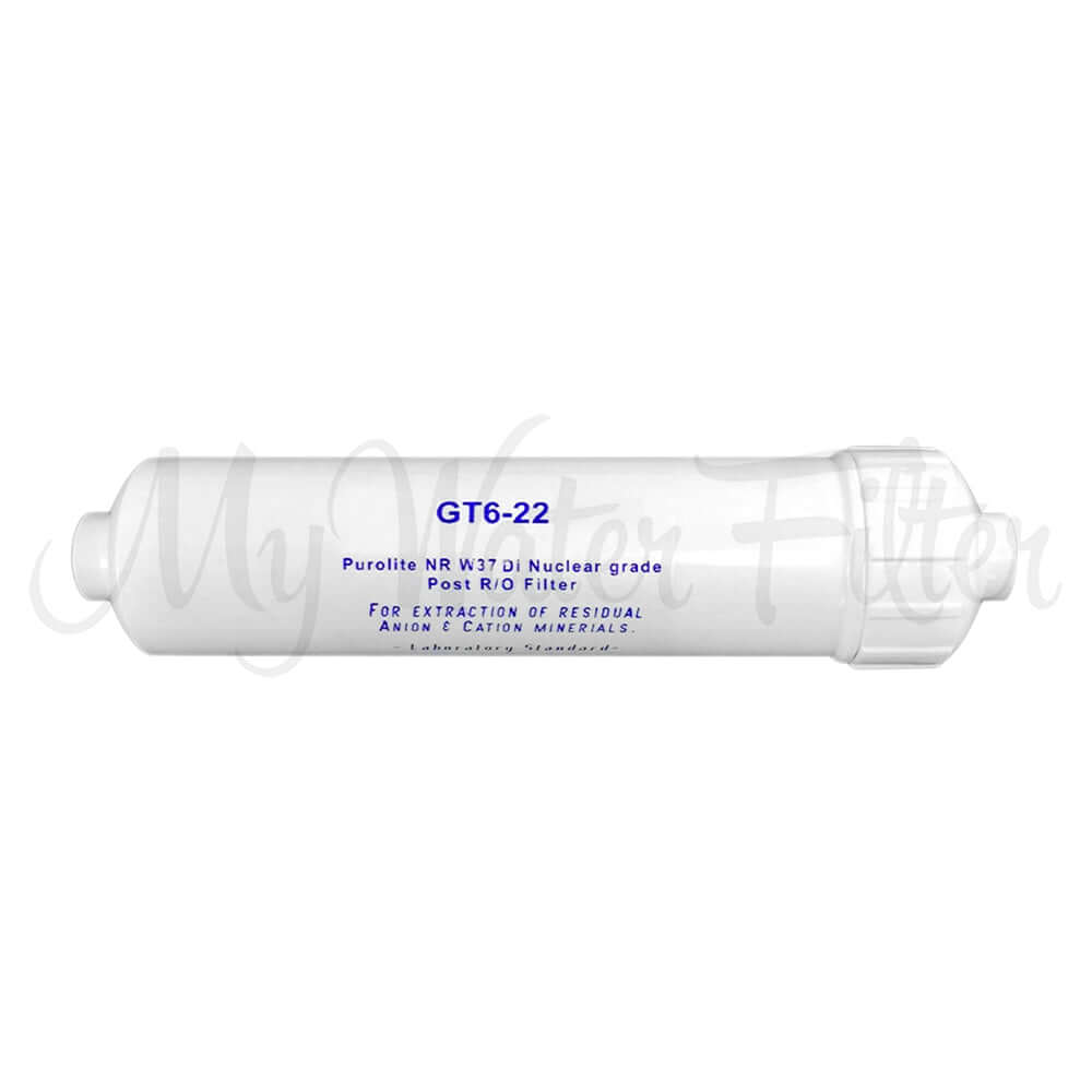 White cylindrical Purolite water filter labeled "GT6-22" with blue text, branded as Purolite DI Resin Inline Water Filter Replacement Cartridge with 1/4 NPT Female.