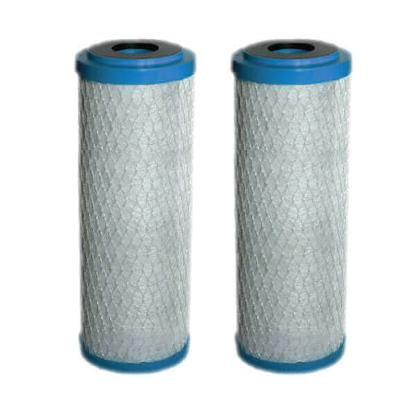 Two cylindrical carbon block filter cartridges, featuring blue end caps, stand side by side