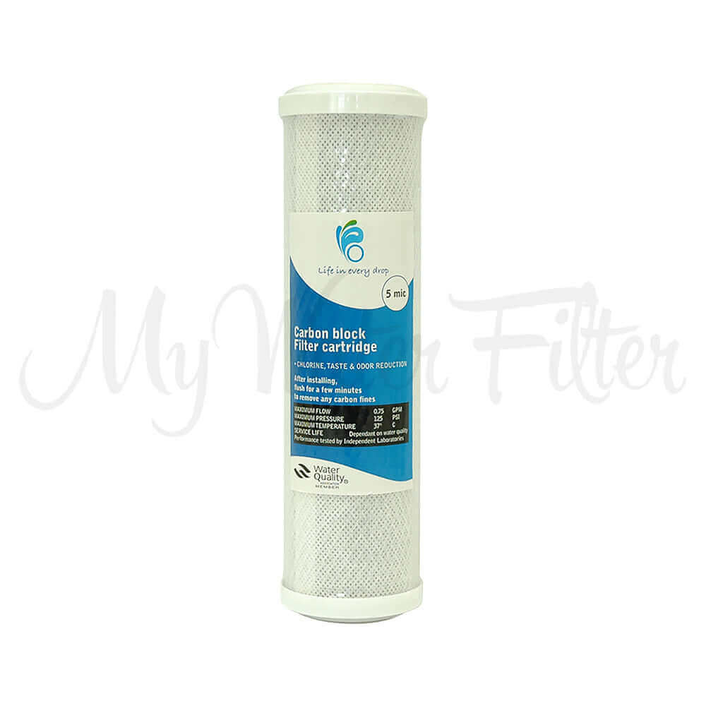 Life in Every Drop 5 Micron Carbon Block Water Filter Replacement Cartridge, featuring a blue label and specifications
