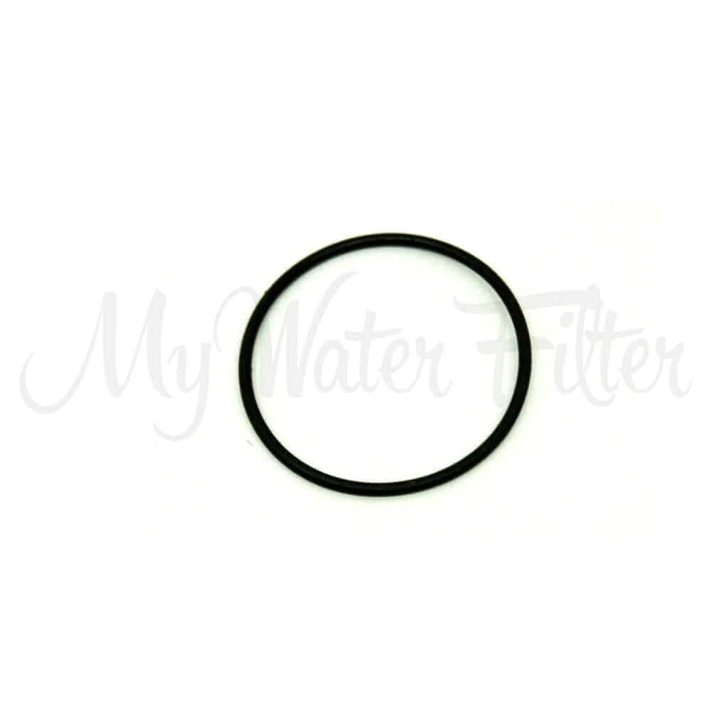 The black rubber O-ring, designed for the Sprite High Output Shower Filter (570 x 2.5mm)