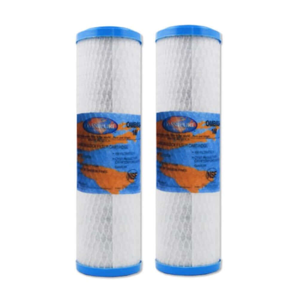 Two Omnipure OMB934 Carbon Block Water Filter Replacement Cartridges, 10" x 2.5", with blue caps and labels on a white background.