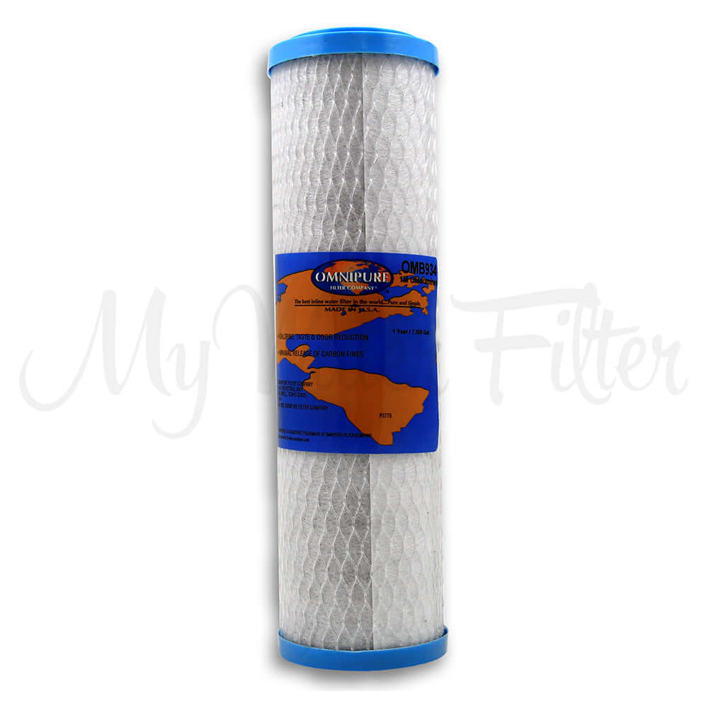 A 10" x 2.5" cylindrical Omnipure OMB934 water filter cartridge with blue end caps, a textured surface, and a side label; removes chloramine, cysts, and heavy metals.
