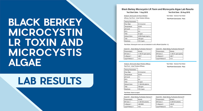 Black Berkey Microcystin LR Toxin And Microcystis Algae Lab Results
