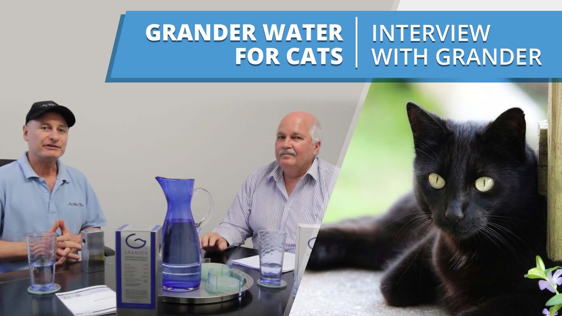 Grander Water for Cats - Interview with Wayne from Grander