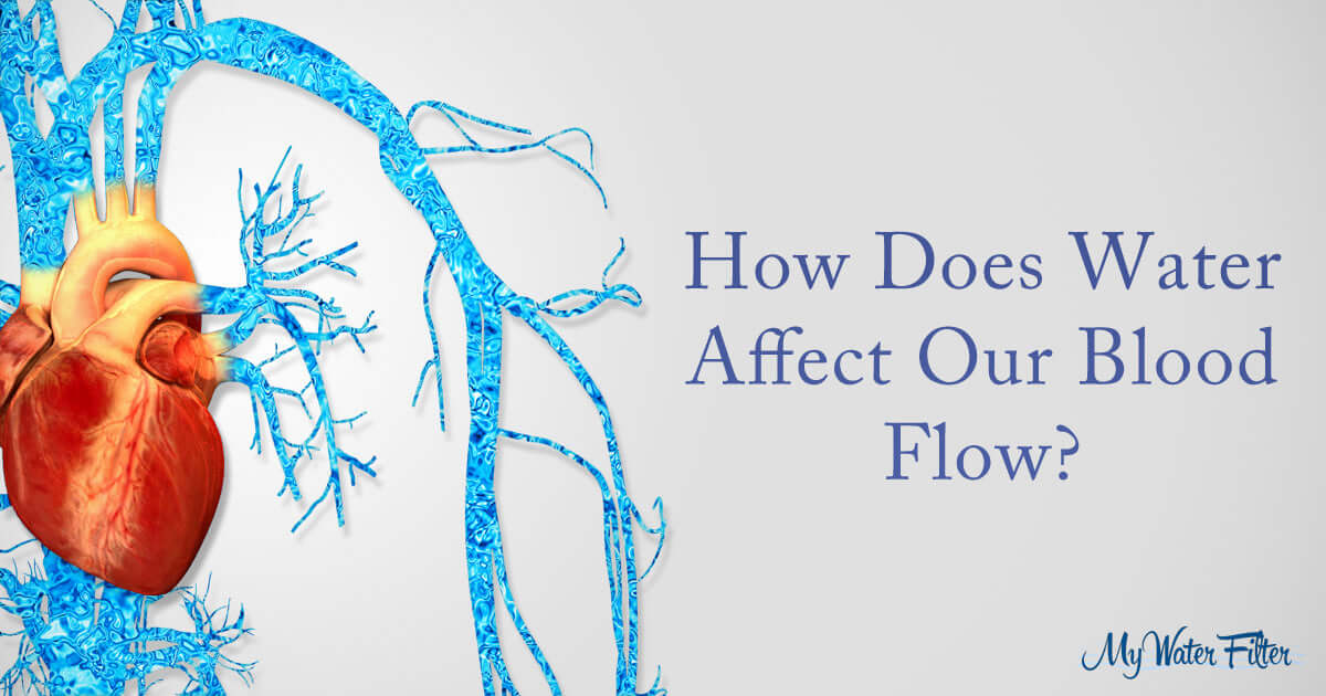 How water effects your blood flow