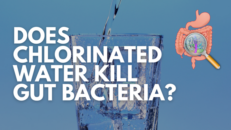 does-chlorinated-water-kill-gut-bacteria