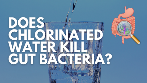 Does Chlorinated Water Kill Gut Bacteria?