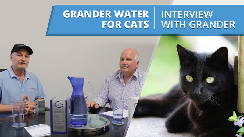 [VIDEO] Grander Water for Cats - Interview with Wayne from Grander