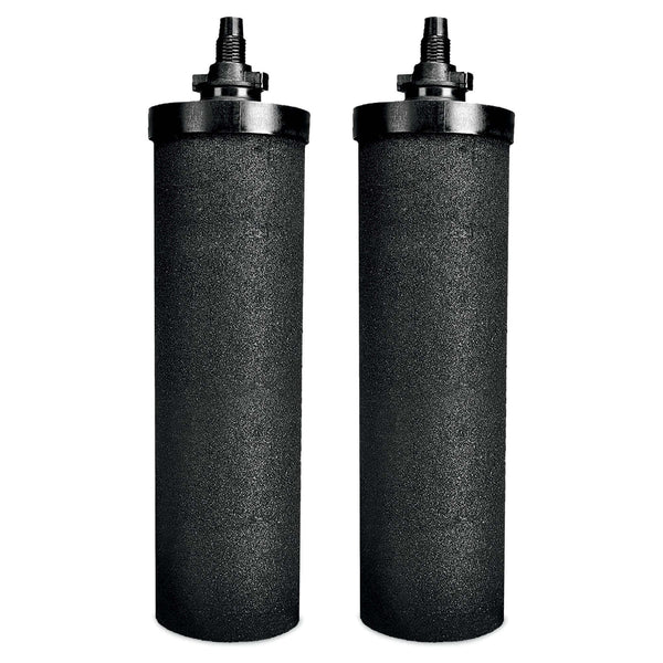 Two RAMA Carbon 8