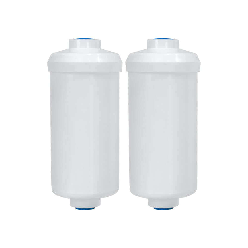 Two Filteroo® MAX Fluoride Removal Gravity Water Filter Cartridges in white with blue caps.
