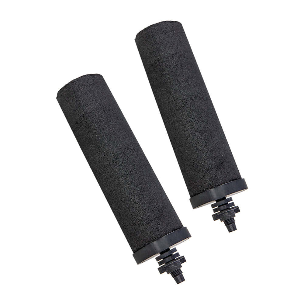 Two Phoenix Carbon Filter Cartridges, sleek and black with connectors on one end, are positioned side by side against a white background.