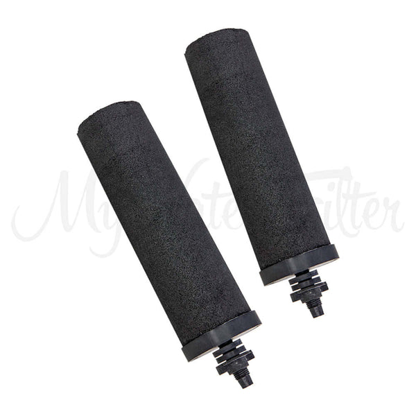 Two Phoenix black cylindrical carbon block filter cartridges with screw fittings on a white background.