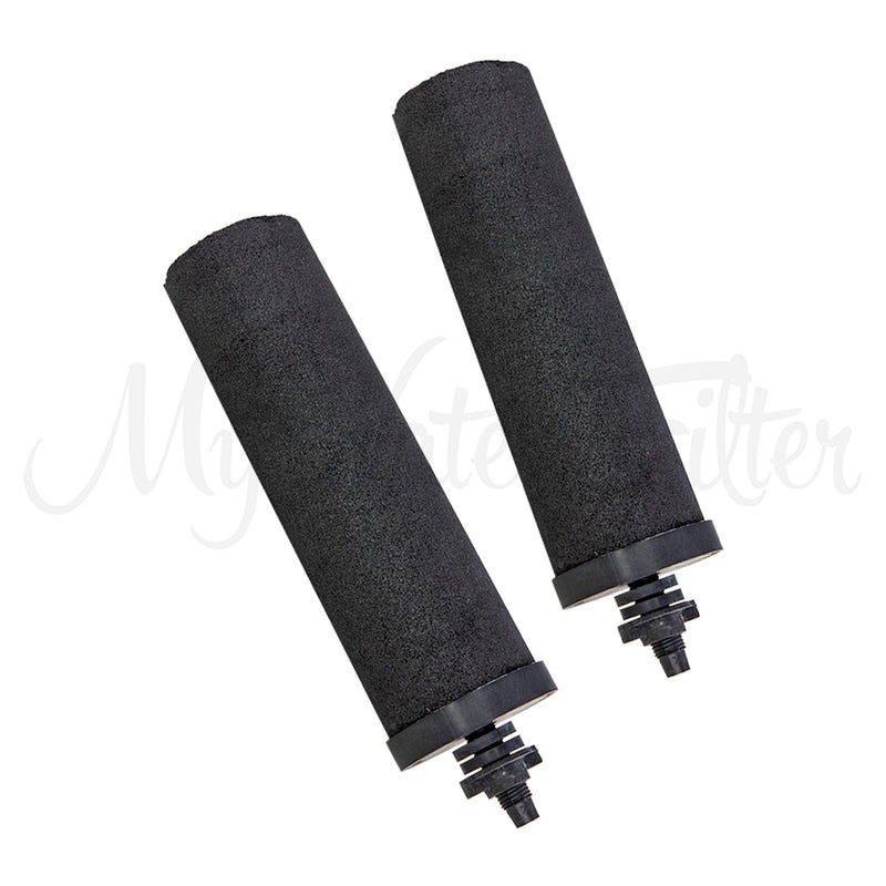Phoenix Carbon Filter Cartridges with watermark