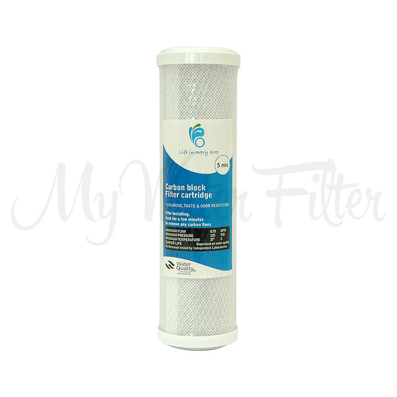 Life in Every Drop 5 Micron Carbon Block Water Filter Replacement Cartridge 10" x 2.5"