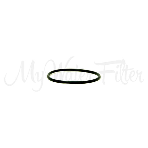 A black rubber O-ring from the 