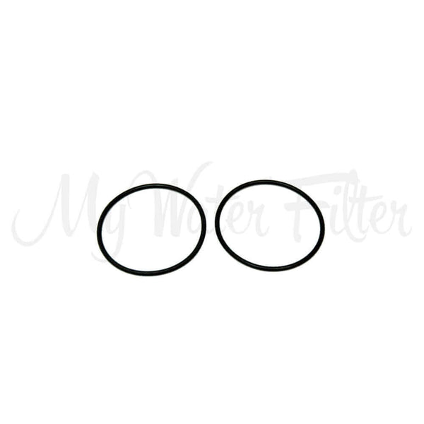 Two black rubber O-rings from the O-Rings to suit Sprite High Output Shower Filter (570 x 2.5mm)