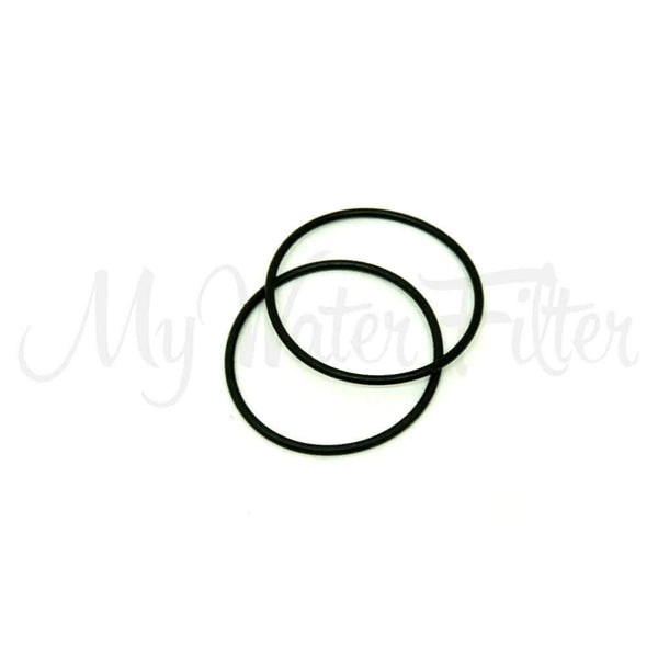 Two O-Rings for the Sprite High Output Shower Filter.