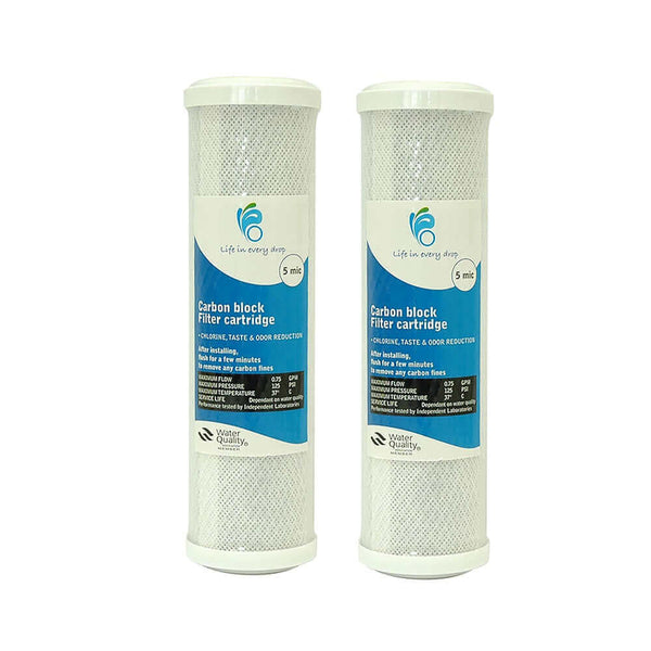 Two Life in Every Drop Carbon Block Water Filter Replacement Cartridges, 10